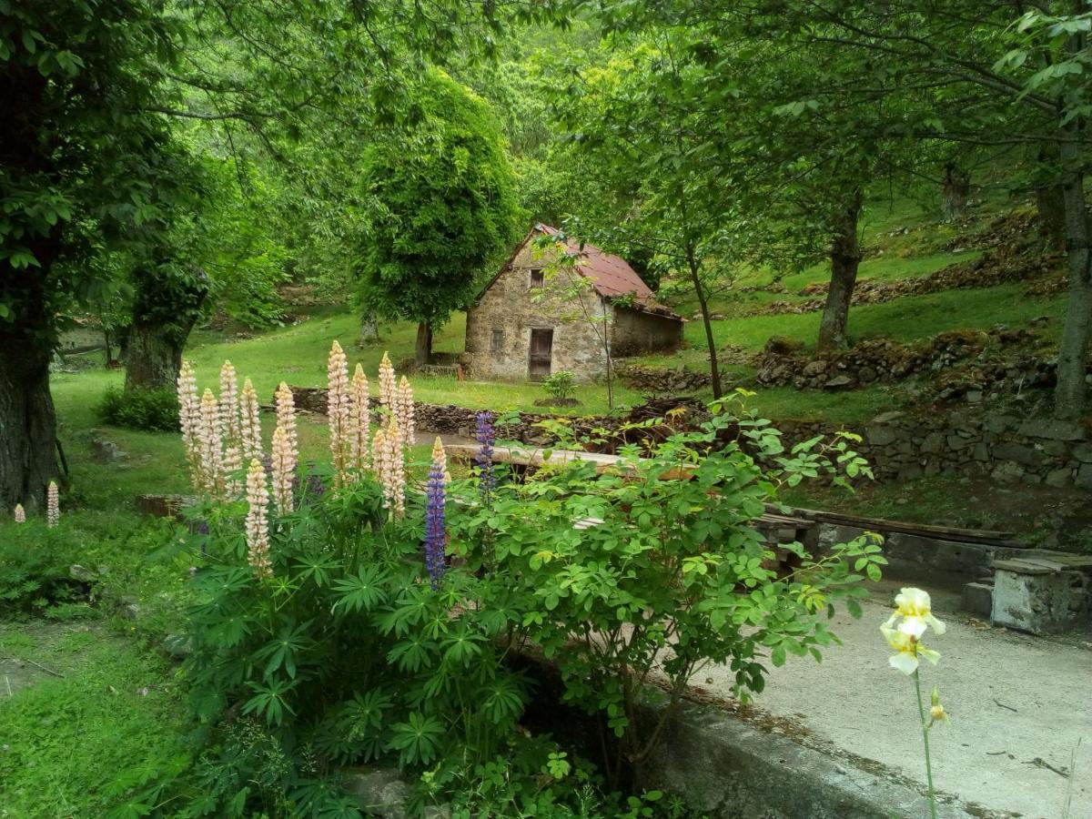 Casa Vacanze Le Muse Sillico Pieve Fosciana Dış mekan fotoğraf